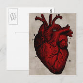 Briefkaart van het menselijk hart (Voorkant / Achterkant)