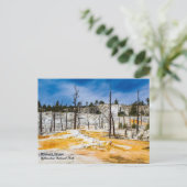 Briefkaart van het nationaal park Mammoth Springs  (Staand voorkant)