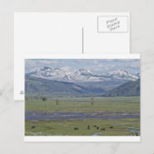 Briefkaart van het Nationaal Park Yellowstone (Voorkant / Achterkant)