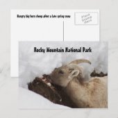 Briefkaart van het nationale park Rocky Mountain (Voorkant / Achterkant)