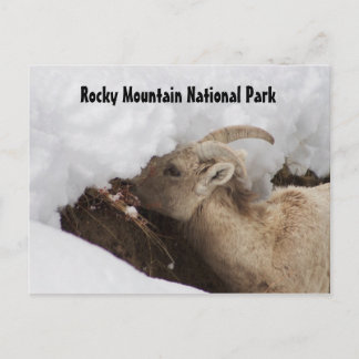 Briefkaart van het nationale park Rocky Mountain