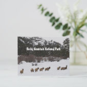 Briefkaart van het nationale park Rocky Mountain (Staand voorkant)