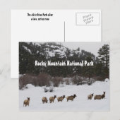 Briefkaart van het nationale park Rocky Mountain (Voorkant / Achterkant)