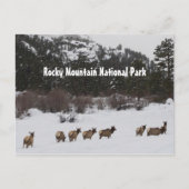 Briefkaart van het nationale park Rocky Mountain (Voorkant)