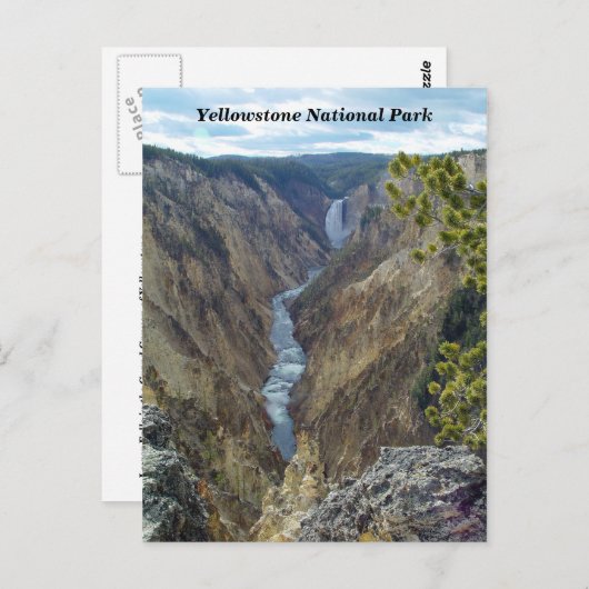 Briefkaart van het nationale park van Yellowstone (Voorkant / Achterkant)