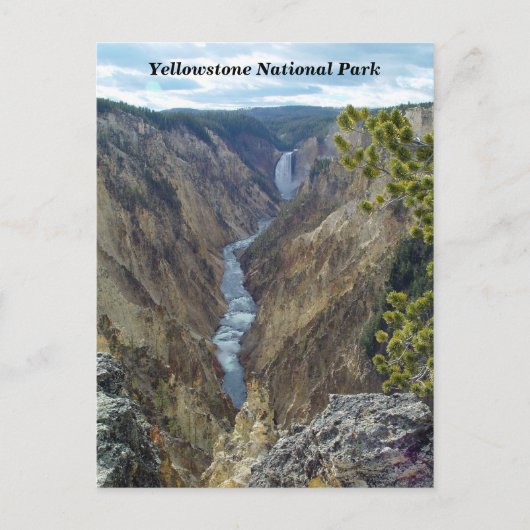 Briefkaart van het nationale park van Yellowstone (Voorkant)
