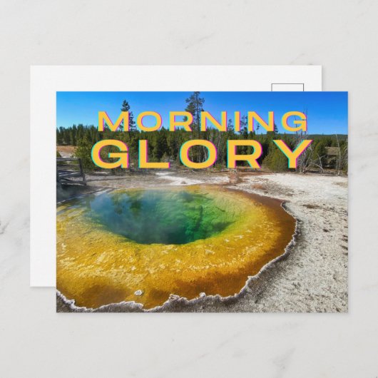 Briefkaart van het nationale park van Yellowstone (Voorkant / Achterkant)