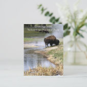 Briefkaart van het nationale park van Yellowstone (Staand voorkant)