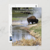 Briefkaart van het nationale park van Yellowstone (Voorkant / Achterkant)