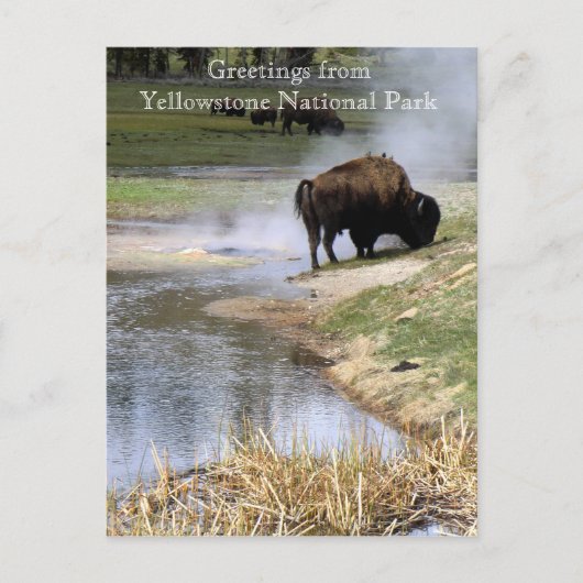 Briefkaart van het nationale park van Yellowstone (Voorkant)
