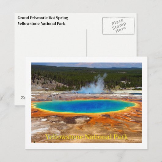 Briefkaart van het nationale park van Yellowstone (Voorkant / Achterkant)