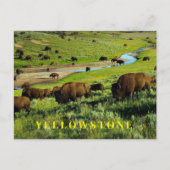 Briefkaart van het nationale park van Yellowstone (Voorkant)