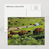 Briefkaart van het nationale park van Yellowstone (Voorkant / Achterkant)