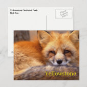 Briefkaart van het nationale park van Yellowstone (Voorkant / Achterkant)