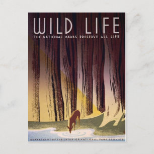 BRIEFKAART van het nationale Poster van de parken 