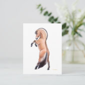 Briefkaart van het Noorse Fjord-paard (Staand voorkant)