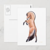 Briefkaart van het Noorse Fjord-paard (Voorkant / Achterkant)