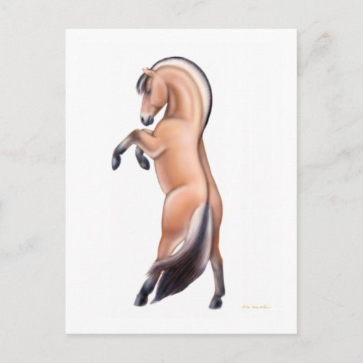 Briefkaart van het Noorse Fjord-paard (Voorkant)