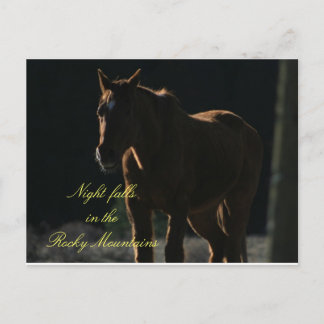 Briefkaart van het paard in de Rocky Mountains