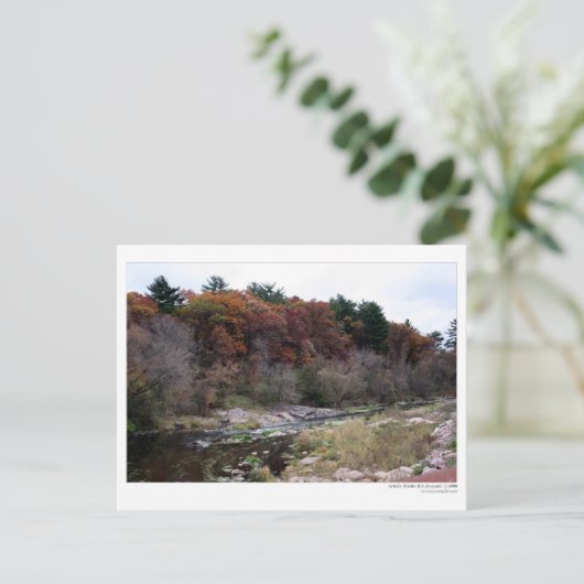 Briefkaart van het palet van kunstenaars (Staand voorkant)