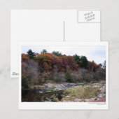 Briefkaart van het palet van kunstenaars (Voorkant / Achterkant)