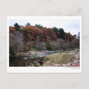 Briefkaart van het palet van kunstenaars