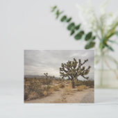 Briefkaart van het Park van de Boom van Joshua het (Staand voorkant)