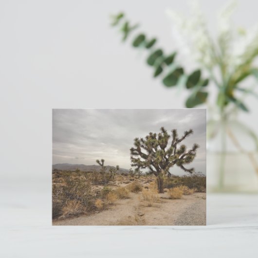 Briefkaart van het Park van de Boom van Joshua het (Staand voorkant)