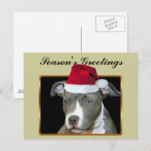 Briefkaart van het pitbullpuppy van de Groeten van (Voorkant / Achterkant)