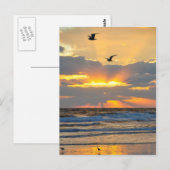 Briefkaart van het prachtige Morning Beach Sunrise (Voorkant / Achterkant)