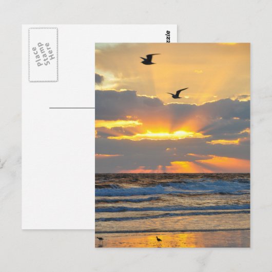 Briefkaart van het prachtige Morning Beach Sunrise (Voorkant / Achterkant)