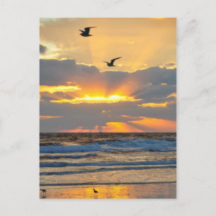 Briefkaart van het prachtige Morning Beach Sunrise