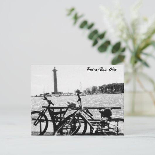 Briefkaart van het puistMonument van de puinhoop-n (Staand voorkant)