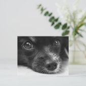 Briefkaart van het puppy Face (Staand voorkant)