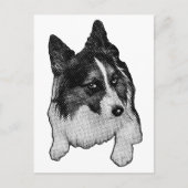 Briefkaart van het sneeuwpad (Voorkant)