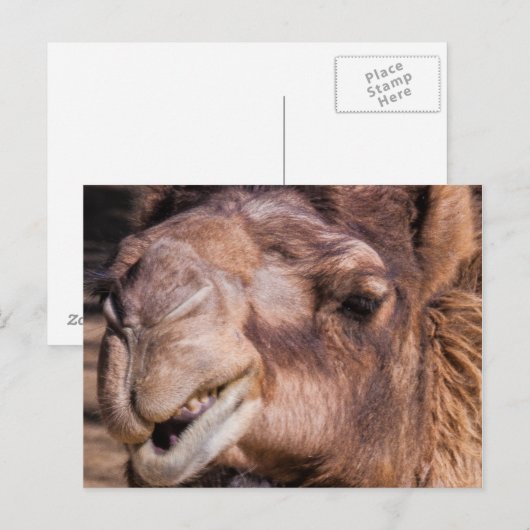 Briefkaart van het strijkkamp (Voorkant / Achterkant)