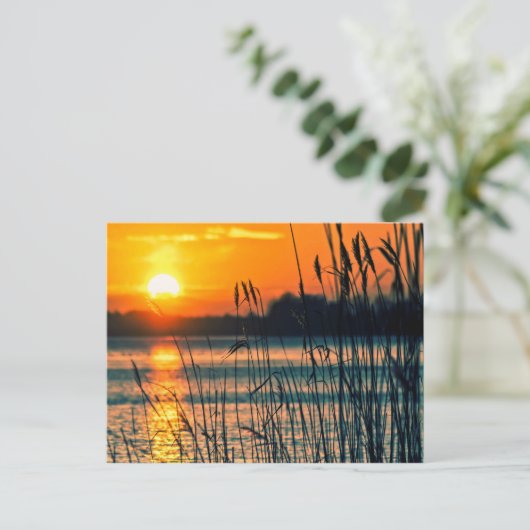 Briefkaart van het Sunset Lake (Staand voorkant)