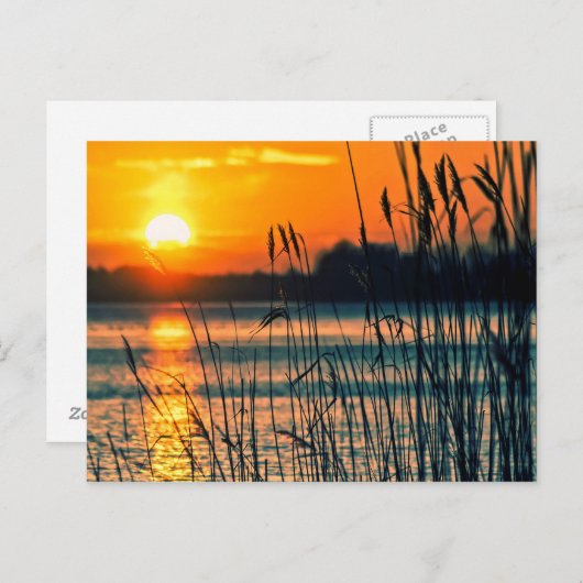 Briefkaart van het Sunset Lake (Voorkant / Achterkant)