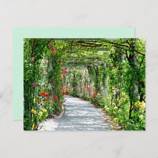 briefkaart van het tuinpad (Voorkant / Achterkant)