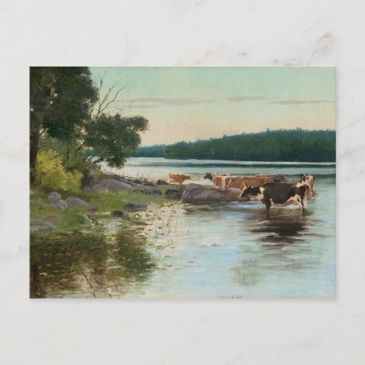 Briefkaart van het Uitzicht van het meer van Keinä (Voorkant)