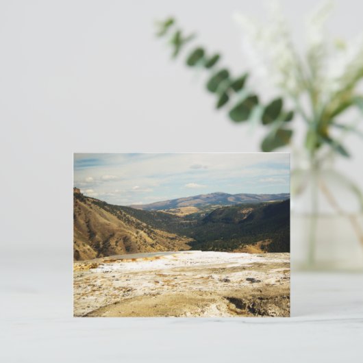 Briefkaart van het Uitzicht van zoogdieren (Staand voorkant)