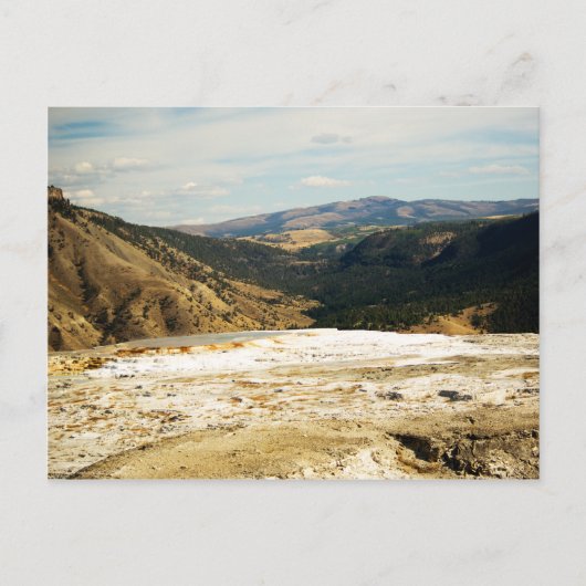 Briefkaart van het Uitzicht van zoogdieren (Voorkant)