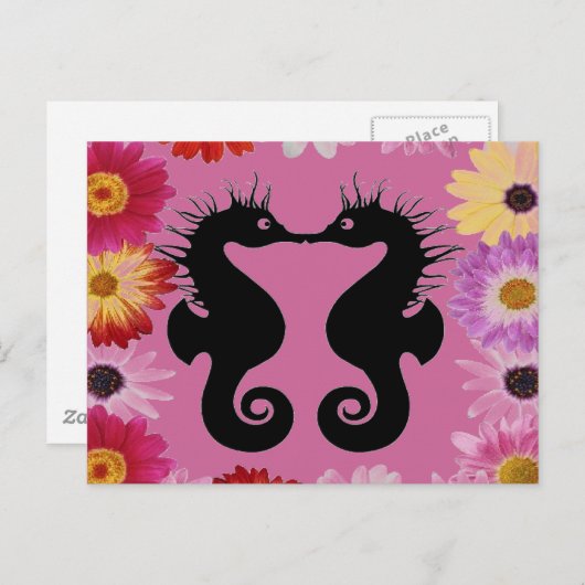 Briefkaart van het zoenen van zeepaardje (Voorkant / Achterkant)