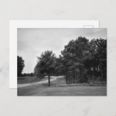  Briefkaart van het Zwarte en Witte Woud (Voorkant / Achterkant)