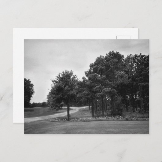  Briefkaart van het Zwarte en Witte Woud (Voorkant / Achterkant)