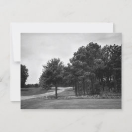  Briefkaart van het Zwarte en Witte Woud