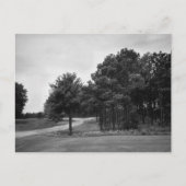  Briefkaart van het Zwarte en Witte Woud (Voorkant)