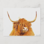 Briefkaart van hoerenkuikens (Voorkant)