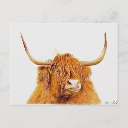 Briefkaart van hoerenkuikens (Voorkant)