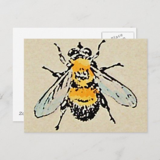 Briefkaart van hommels (Voorkant / Achterkant)